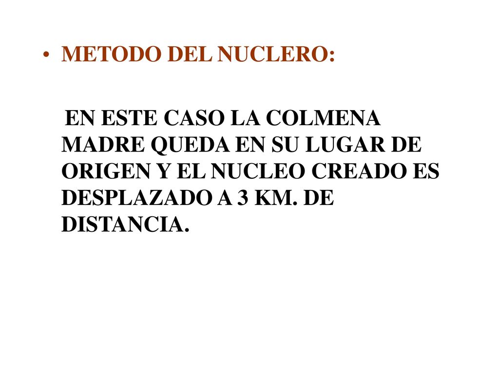 METODO DEL NUCLERO: EN ESTE CASO LA COLMENA MADRE QUEDA EN SU LUGAR DE ORIGEN Y EL NUCLEO CREADO ES DESPLAZADO A 3 KM.
