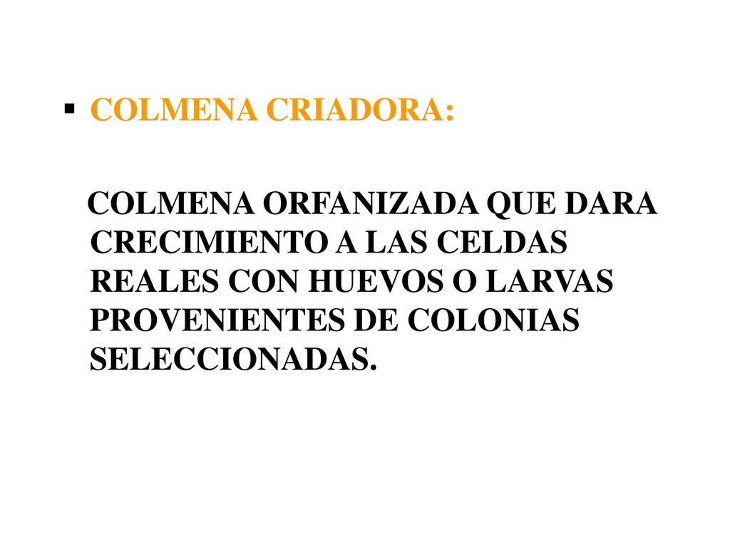COLMENA CRIADORA: COLMENA ORFANIZADA QUE DARA CRECIMIENTO A LAS CELDAS REALES CON HUEVOS O LARVAS PROVENIENTES DE COLONIAS SELECCIONADAS.