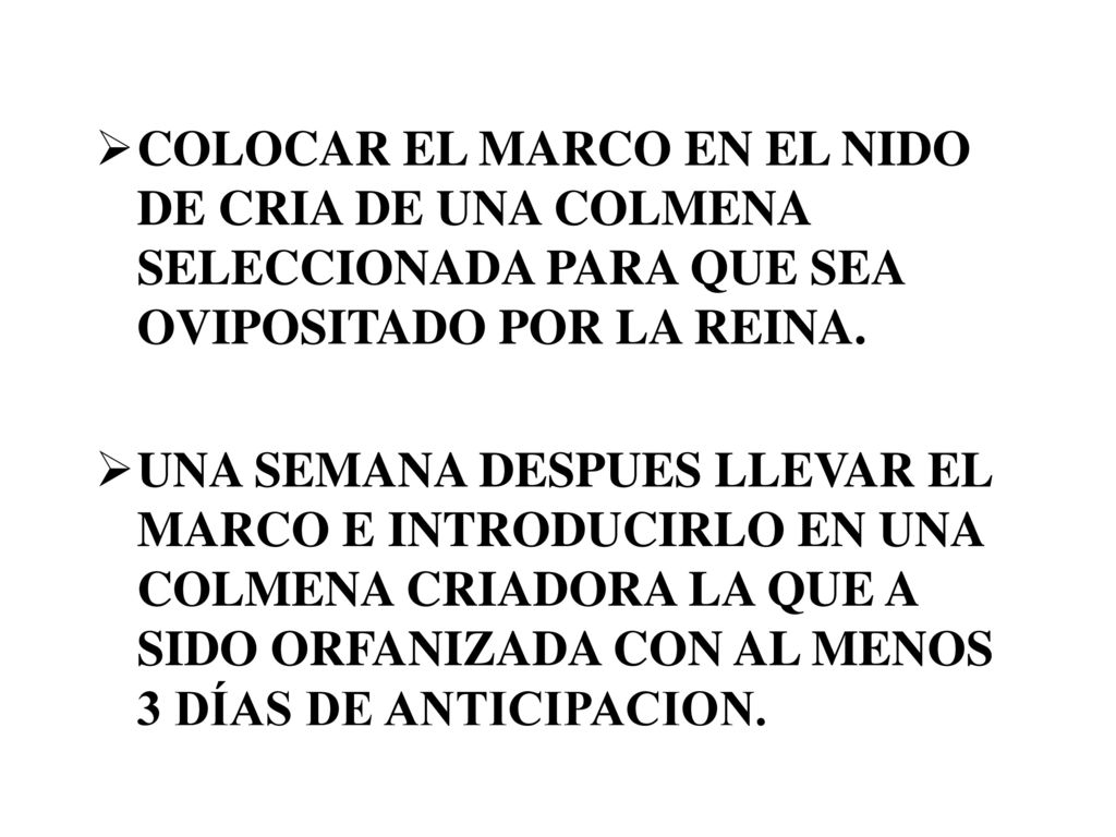 COLOCAR EL MARCO EN EL NIDO DE CRIA DE UNA COLMENA SELECCIONADA PARA QUE SEA OVIPOSITADO POR LA REINA.