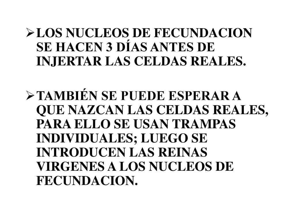 LOS NUCLEOS DE FECUNDACION SE HACEN 3 DÍAS ANTES DE INJERTAR LAS CELDAS REALES.