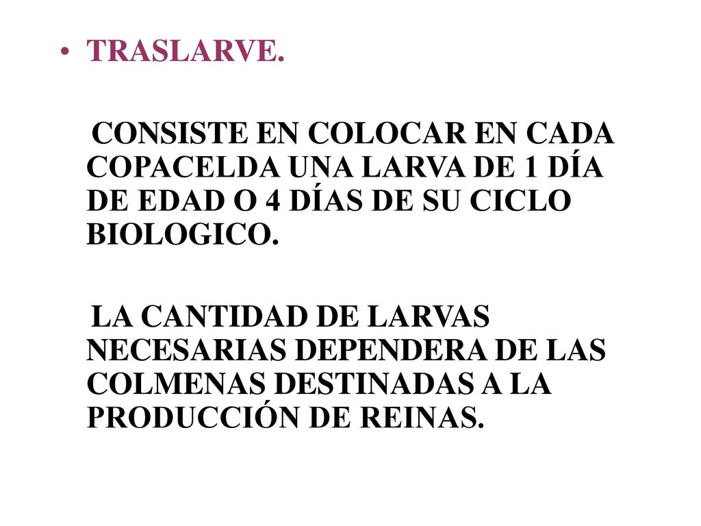 TRASLARVE. CONSISTE EN COLOCAR EN CADA COPACELDA UNA LARVA DE 1 DÍA DE EDAD O 4 DÍAS DE SU CICLO BIOLOGICO.