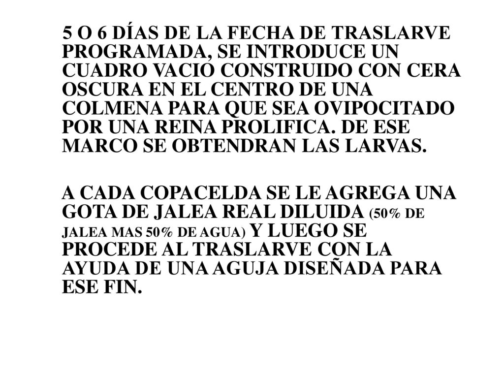 5 O 6 DÍAS DE LA FECHA DE TRASLARVE PROGRAMADA, SE INTRODUCE UN CUADRO VACIO CONSTRUIDO CON CERA OSCURA EN EL CENTRO DE UNA COLMENA PARA QUE SEA OVIPOCITADO POR UNA REINA PROLIFICA. DE ESE MARCO SE OBTENDRAN LAS LARVAS.
