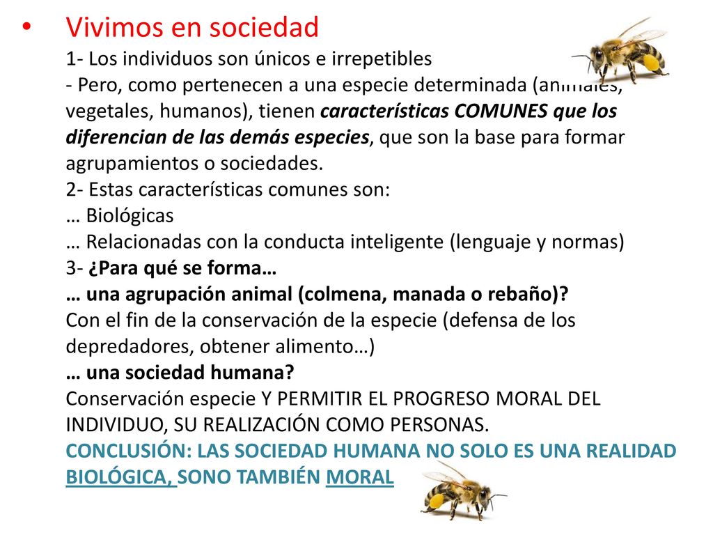 Vivimos en sociedad 1- Los individuos son únicos e irrepetibles - Pero, como pertenecen a una especie determinada (animales, vegetales, humanos), tienen características COMUNES que los diferencian de las demás especies, que son la base para formar agrupamientos o sociedades.