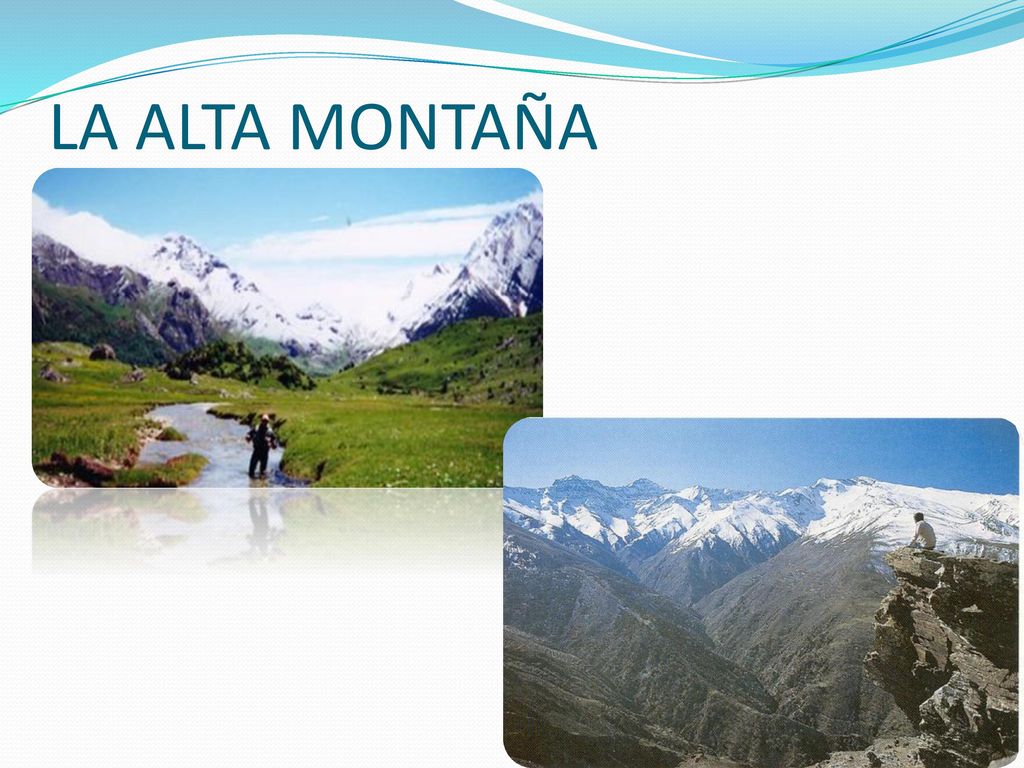LA ALTA MONTAÑA Conforme ascendemos, disminuye la vegetación que pasa a ser líquenes y musgos.