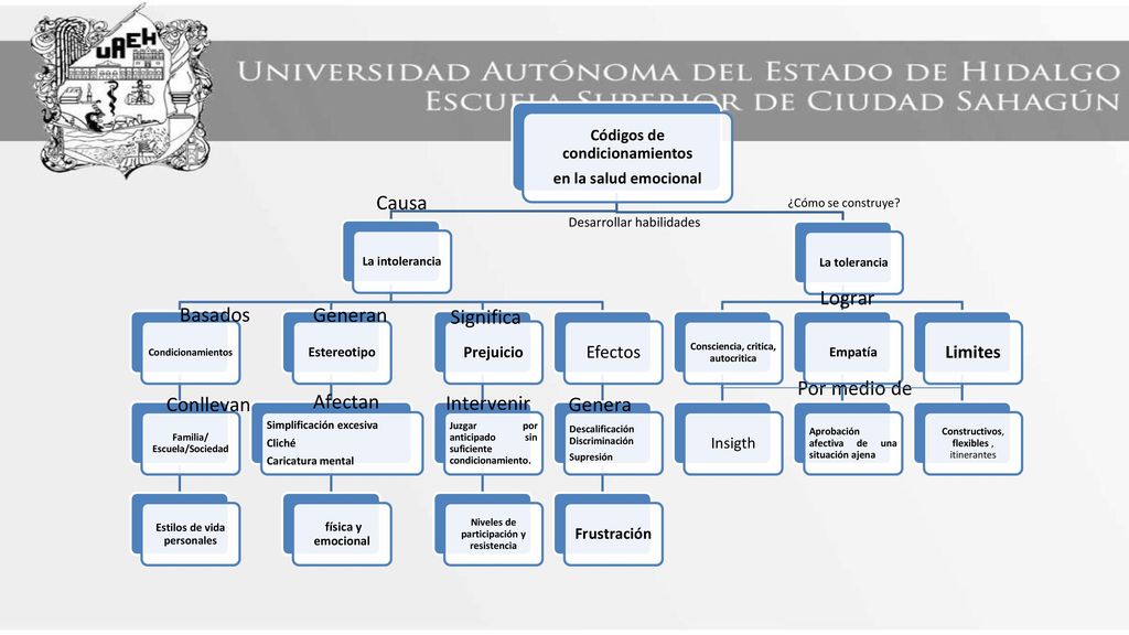 Causa Lograr Basados Generan Significa Por medio de Conllevan Afectan