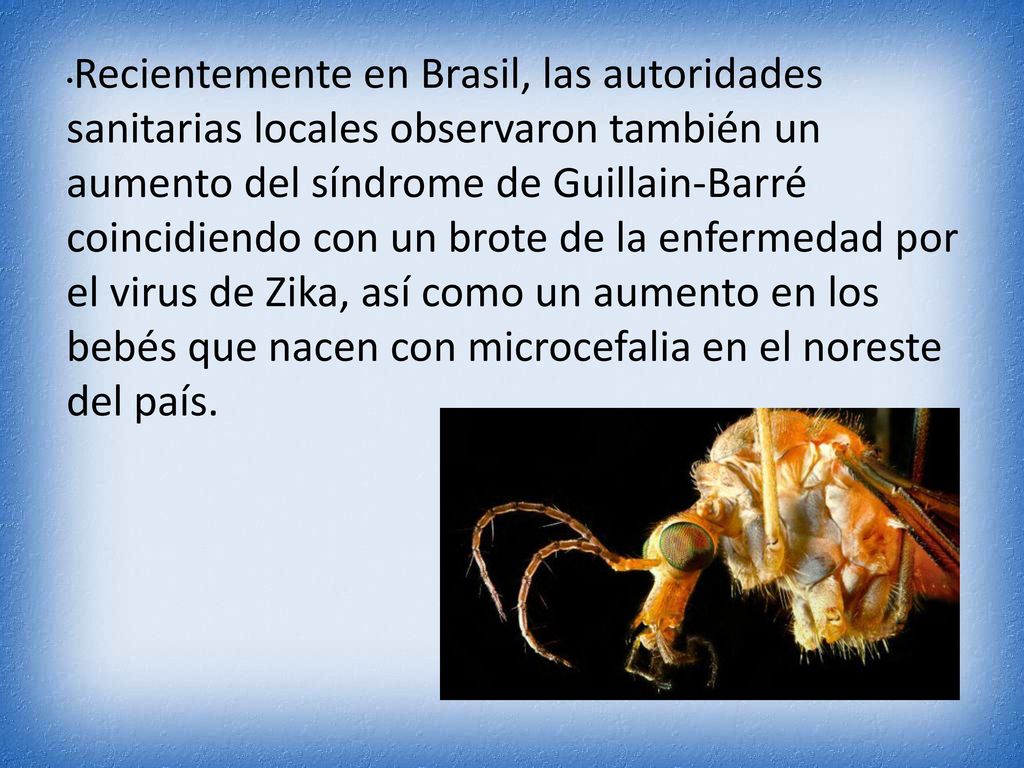 Recientemente en Brasil, las autoridades sanitarias locales observaron también un aumento del síndrome de Guillain-Barré coincidiendo con un brote de la enfermedad por el virus de Zika, así como un aumento en los bebés que nacen con microcefalia en el noreste del país.