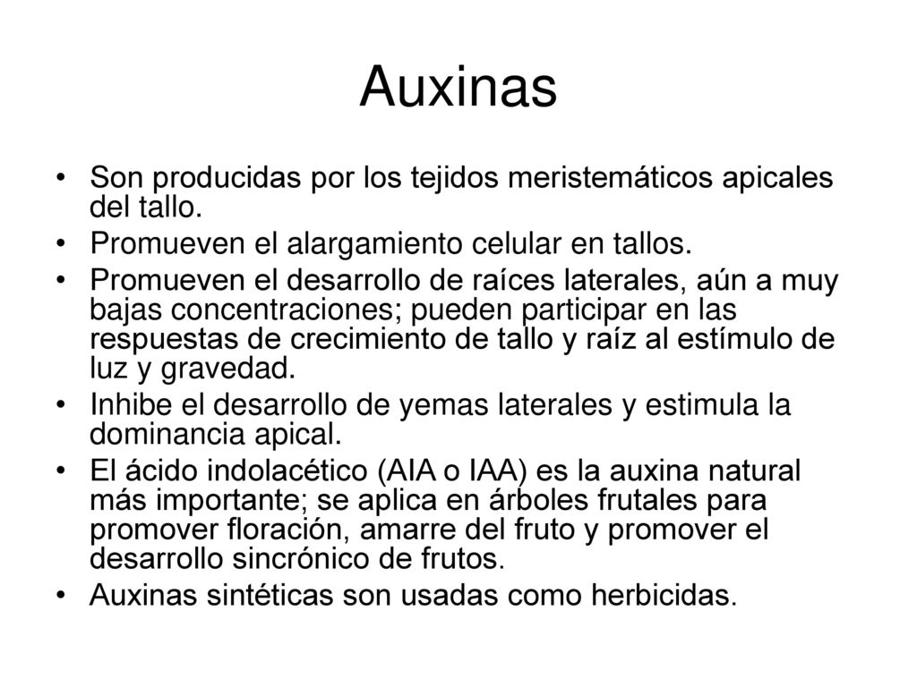 Auxinas Son producidas por los tejidos meristemáticos apicales del tallo. Promueven el alargamiento celular en tallos.