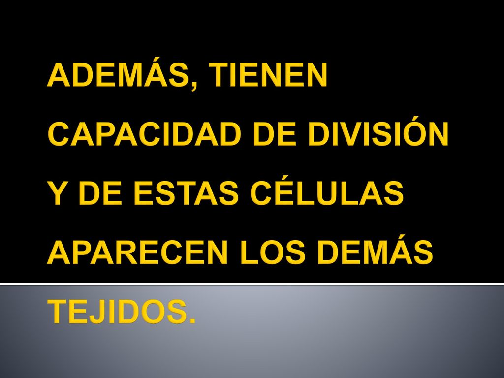 ADEMÁS, TIENEN CAPACIDAD DE DIVISIÓN Y DE ESTAS CÉLULAS APARECEN LOS DEMÁS TEJIDOS.