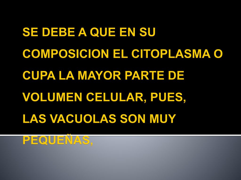SE DEBE A QUE EN SU COMPOSICION EL CITOPLASMA OCUPA LA MAYOR PARTE DE VOLUMEN CELULAR, PUES, LAS VACUOLAS SON MUY PEQUEÑAS,