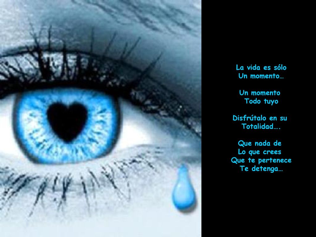 La vida es sólo Un momento… Un momento. Todo tuyo. Disfrútalo en su. Totalidad…. Que nada de. Lo que crees.