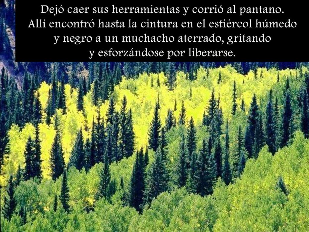 Dejó caer sus herramientas y corrió al pantano.