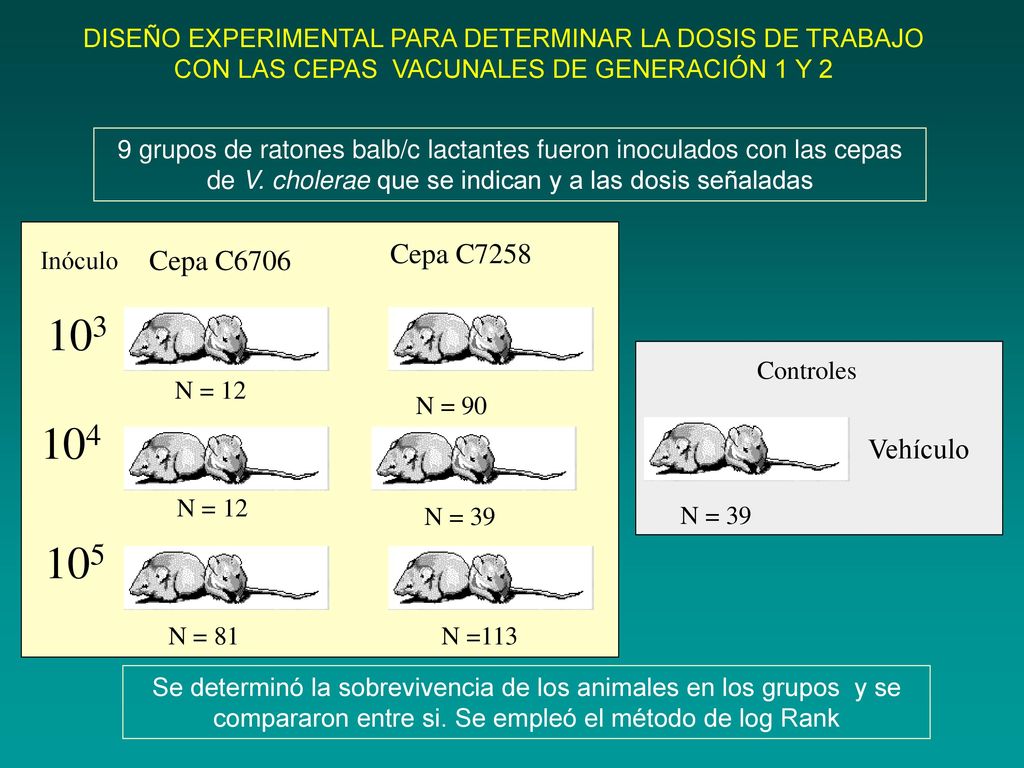 DISEÑO EXPERIMENTAL PARA DETERMINAR LA DOSIS DE TRABAJO CON LAS CEPAS VACUNALES DE GENERACIÓN 1 Y 2