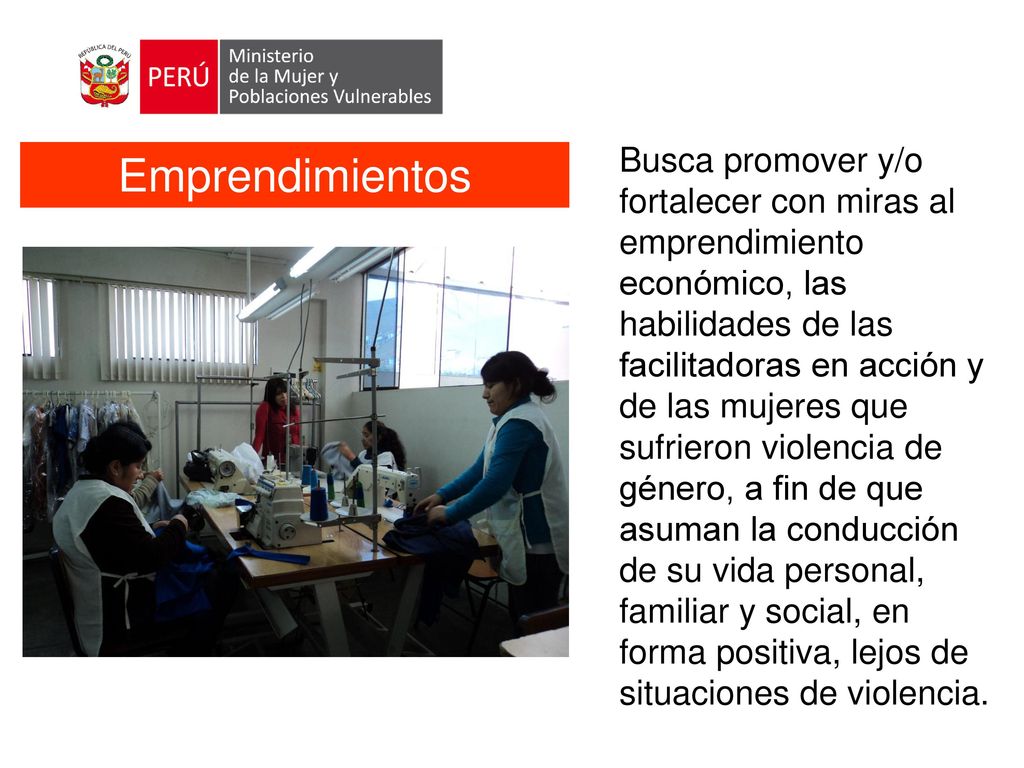 Busca promover y/o fortalecer con miras al emprendimiento económico, las habilidades de las facilitadoras en acción y de las mujeres que sufrieron violencia de género, a fin de que asuman la conducción de su vida personal, familiar y social, en forma positiva, lejos de situaciones de violencia.