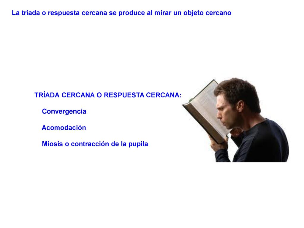 La tríada o respuesta cercana se produce al mirar un objeto cercano