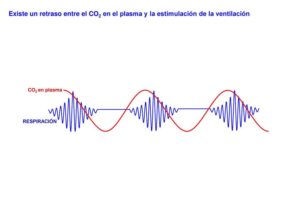 Existe un retraso entre el CO2 en el plasma y la estimulación de la ventilación