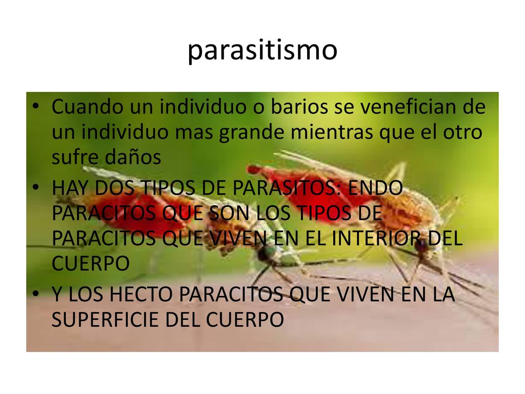 parasitismo Cuando un individuo o barios se venefician de un individuo mas grande mientras que el otro sufre daños.