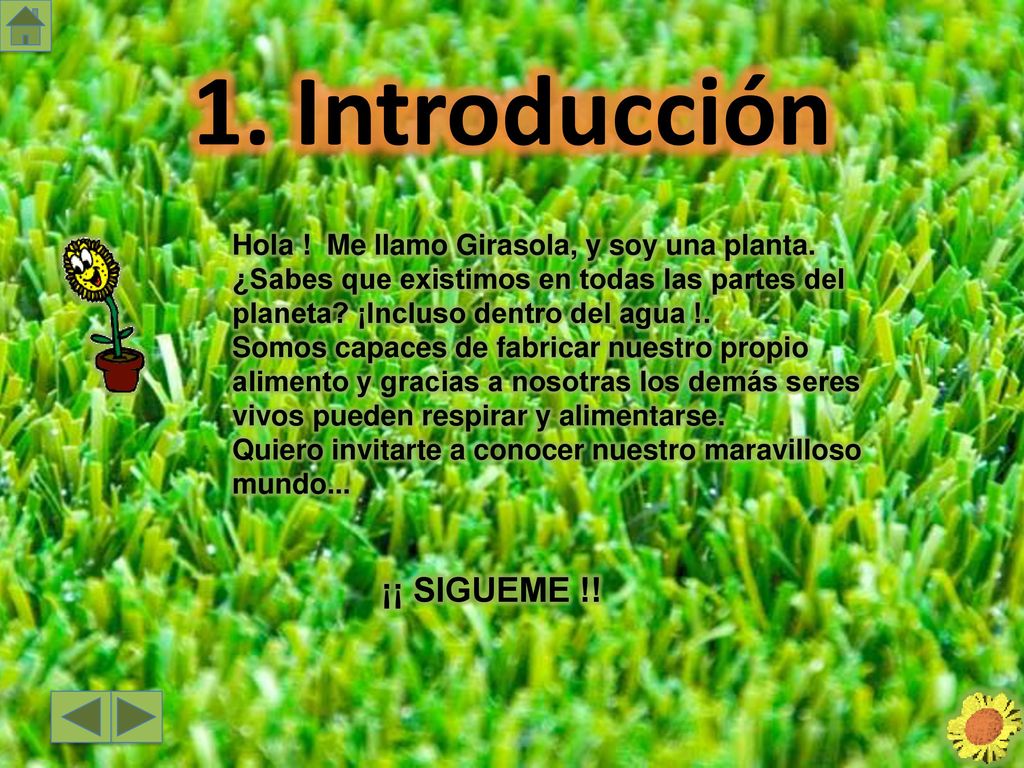 1. Introducción Hola ! Me llamo Girasola, y soy una planta.