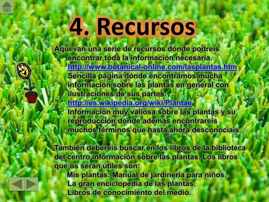 4. Recursos Aquí van una serie de recursos dónde podreis encontrar toda la información necesaria.