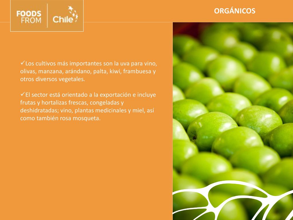 ORGÁNICOS Los cultivos más importantes son la uva para vino, olivas, manzana, arándano, palta, kiwi, frambuesa y otros diversos vegetales.