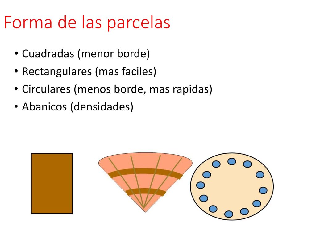 Forma de las parcelas Cuadradas (menor borde)