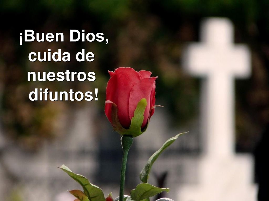 Madre, acoge a nuestros familiares difuntos. ¡Buen Dios, cuida de