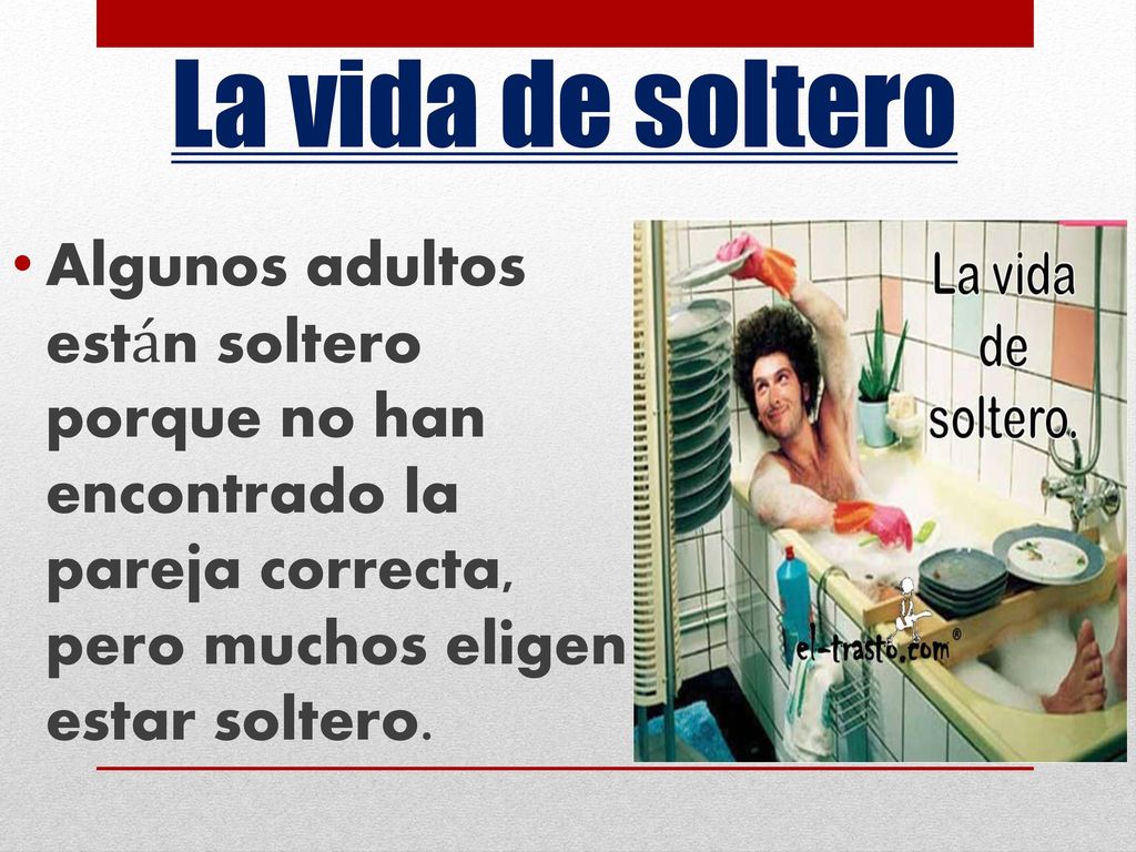 La vida de soltero Algunos adultos están soltero porque no han encontrado la pareja correcta, pero muchos eligen estar soltero.