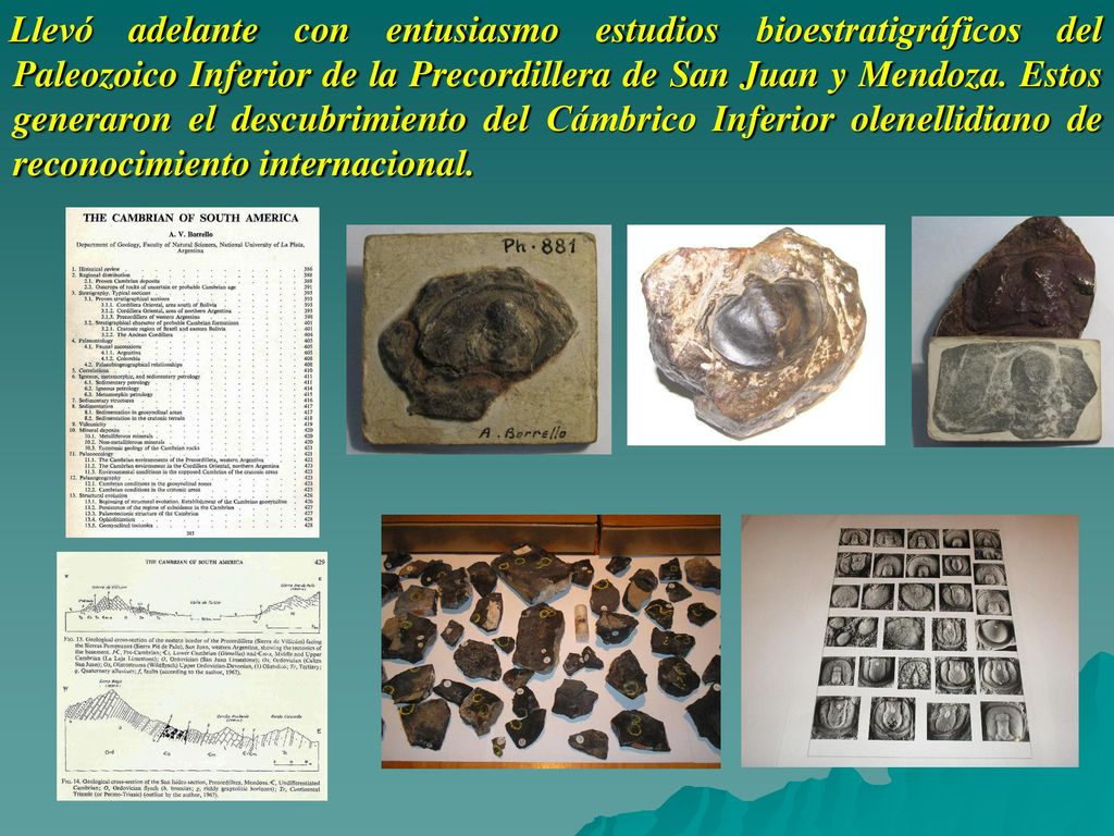 Llevó adelante con entusiasmo estudios bioestratigráficos del Paleozoico Inferior de la Precordillera de San Juan y Mendoza.