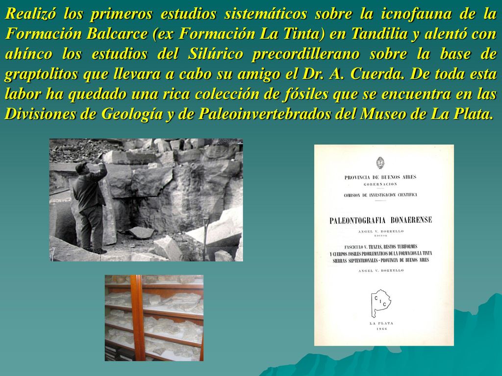 Realizó los primeros estudios sistemáticos sobre la icnofauna de la Formación Balcarce (ex Formación La Tinta) en Tandilia y alentó con ahínco los estudios del Silúrico precordillerano sobre la base de graptolitos que llevara a cabo su amigo el Dr.