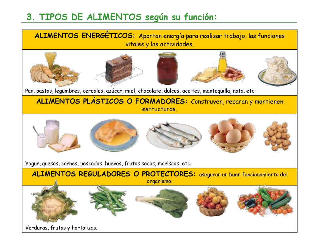 3. TIPOS DE ALIMENTOS según su función: