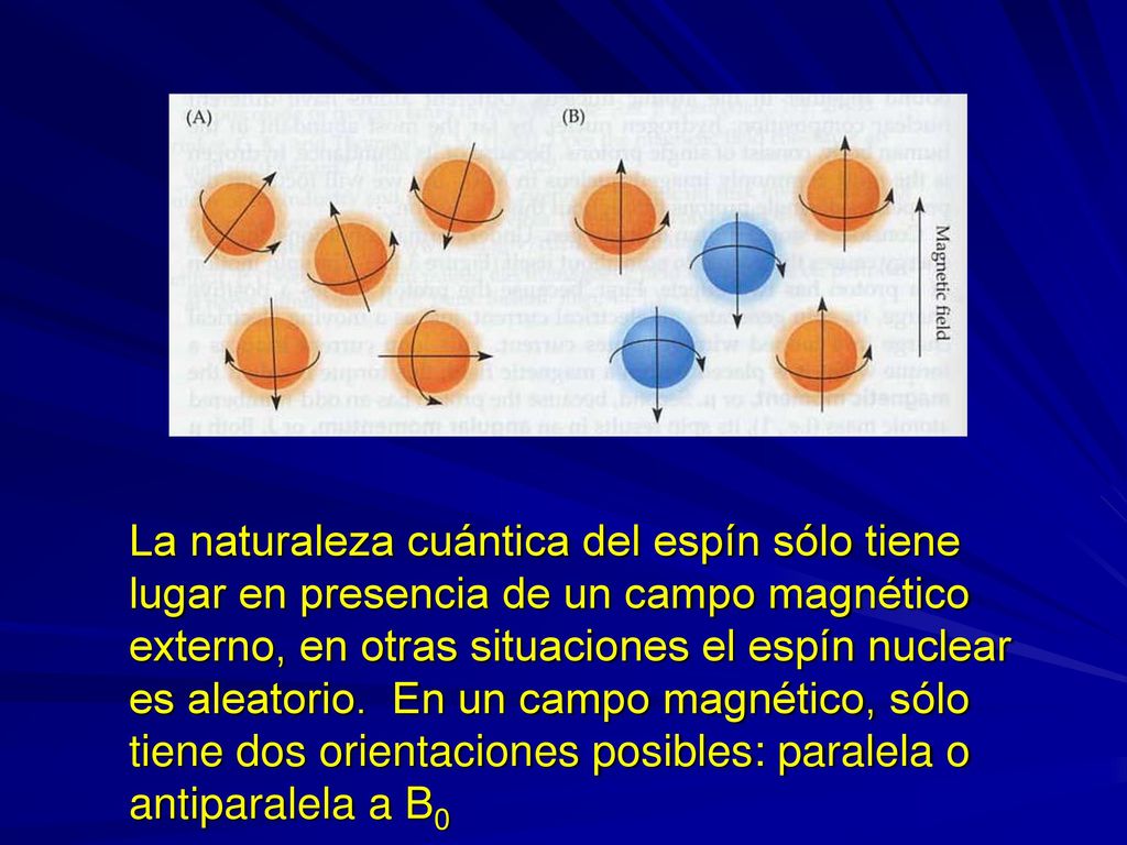 La naturaleza cuántica del espín sólo tiene lugar en presencia de un campo magnético externo, en otras situaciones el espín nuclear es aleatorio.