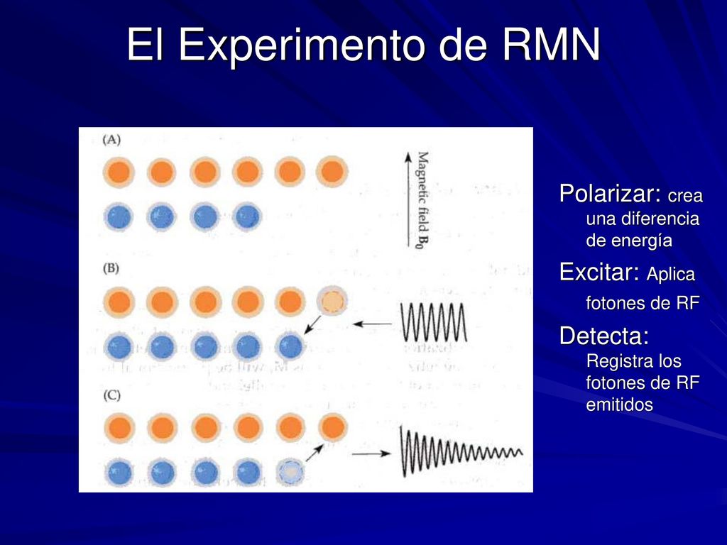 El Experimento de RMN Polarizar: crea una diferencia de energía