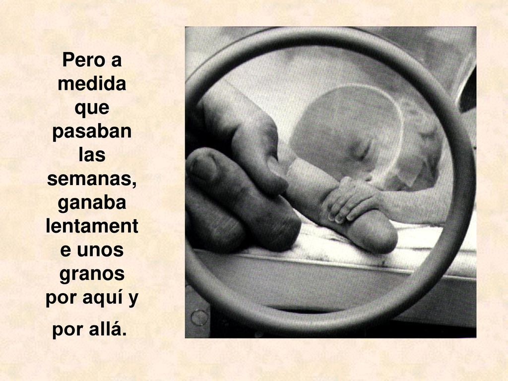 Pero a medida que pasaban las semanas, ganaba lentamente unos granos por aquí y por allá.