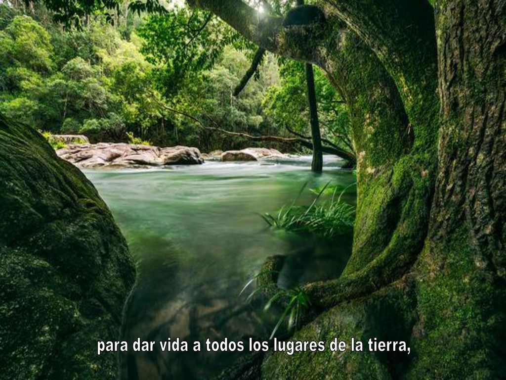 para dar vida a todos los lugares de la tierra,