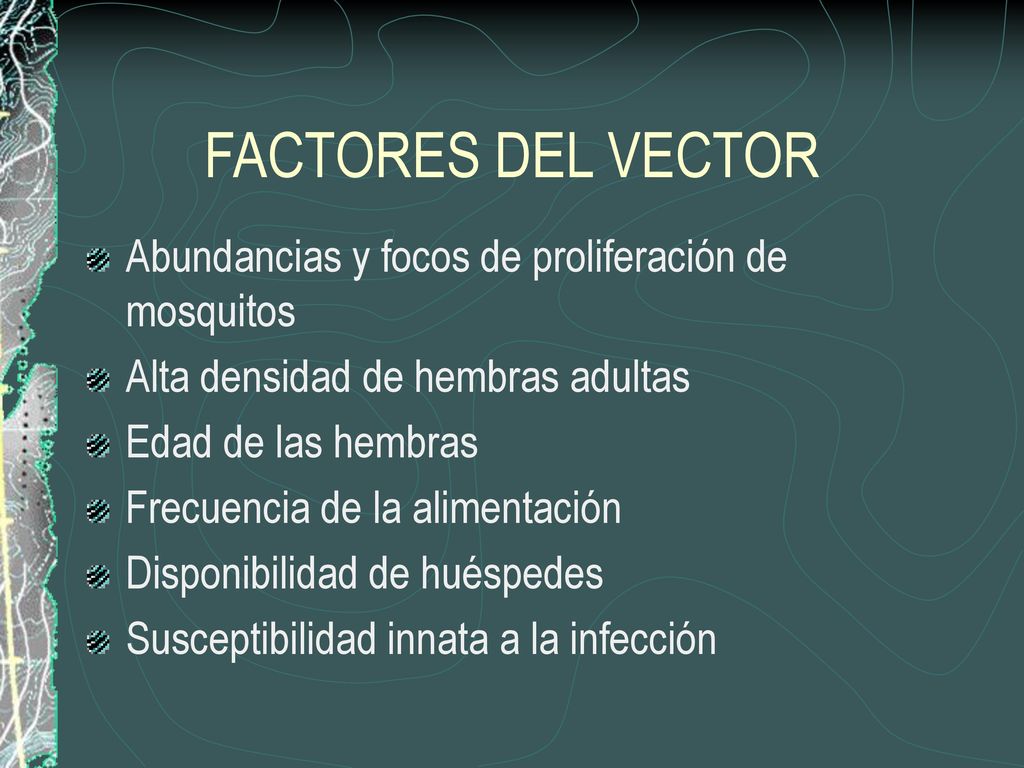 FACTORES DEL VECTOR Abundancias y focos de proliferación de mosquitos