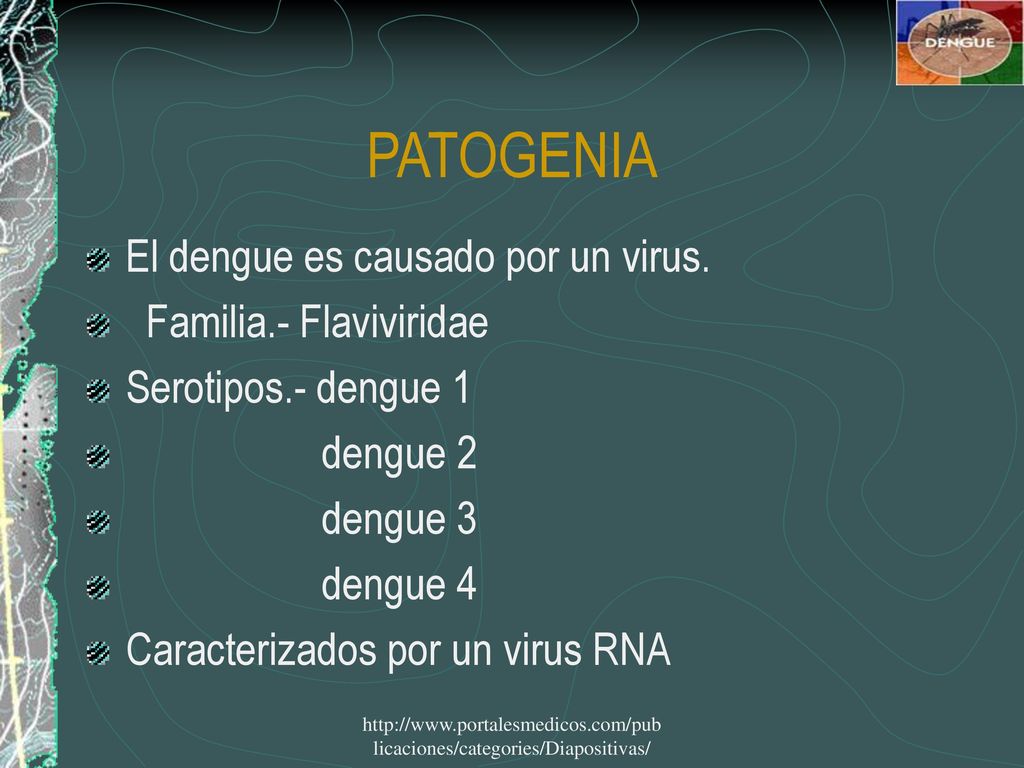 PATOGENIA El dengue es causado por un virus. Familia.- Flaviviridae