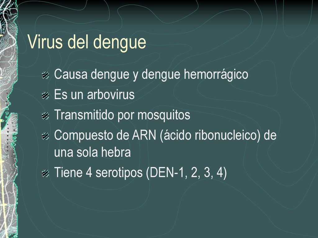 Virus del dengue Causa dengue y dengue hemorrágico Es un arbovirus