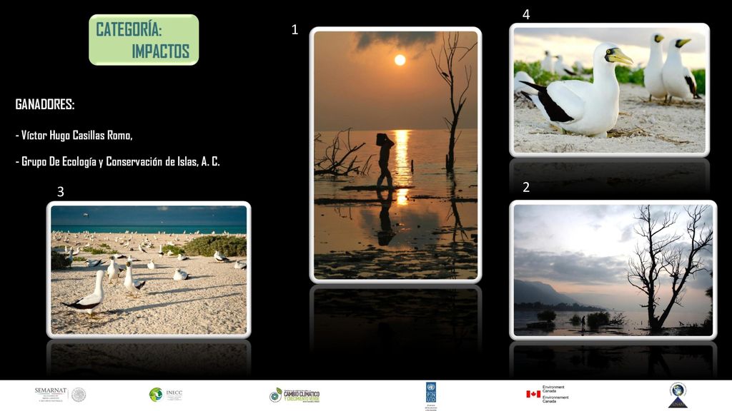 4 1. GANADORES: - Víctor Hugo Casillas Romo, - Grupo De Ecología y Conservación de Islas, A. C. 2.