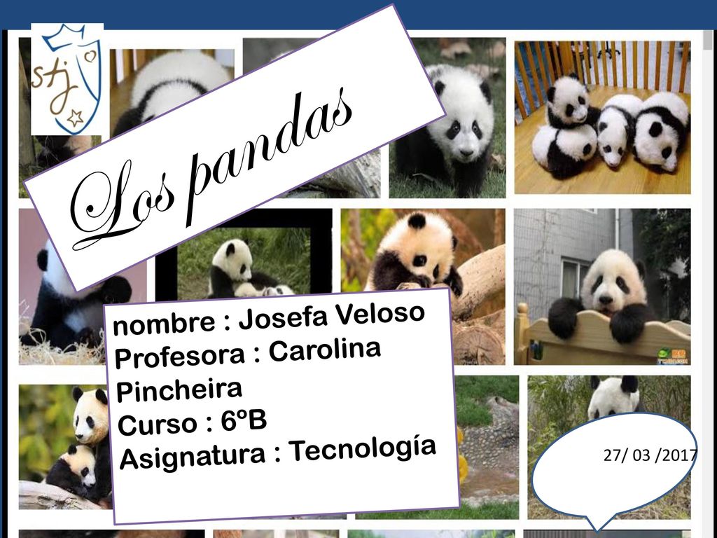 Los pandas nombre : Josefa Veloso Profesora : Carolina Pincheira