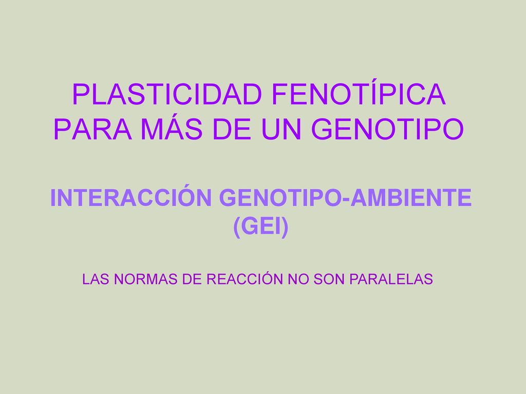 PLASTICIDAD FENOTÍPICA PARA MÁS DE UN GENOTIPO