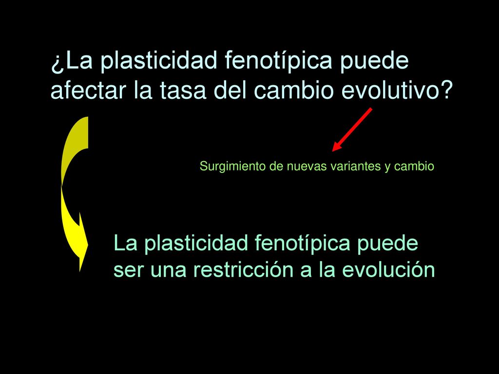 ¿La plasticidad fenotípica puede afectar la tasa del cambio evolutivo