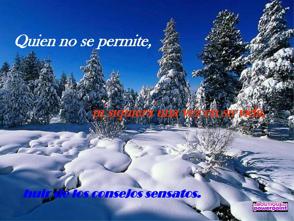 Quien no se permite, ni siquiera una vez en su vida,