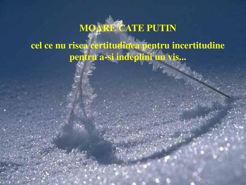 MOARE CATE PUTIN cel ce nu risca certitudinea pentru incertitudine pentru a-si indeplini un vis...