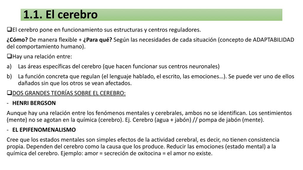 1.1. El cerebro El cerebro pone en funcionamiento sus estructuras y centros reguladores.