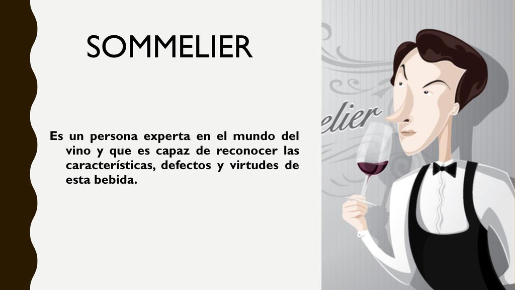 SOMMELIER Es un persona experta en el mundo del vino y que es capaz de reconocer las características, defectos y virtudes de esta bebida.