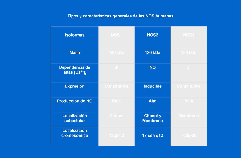 Tipos y características generales de las NOS humanas