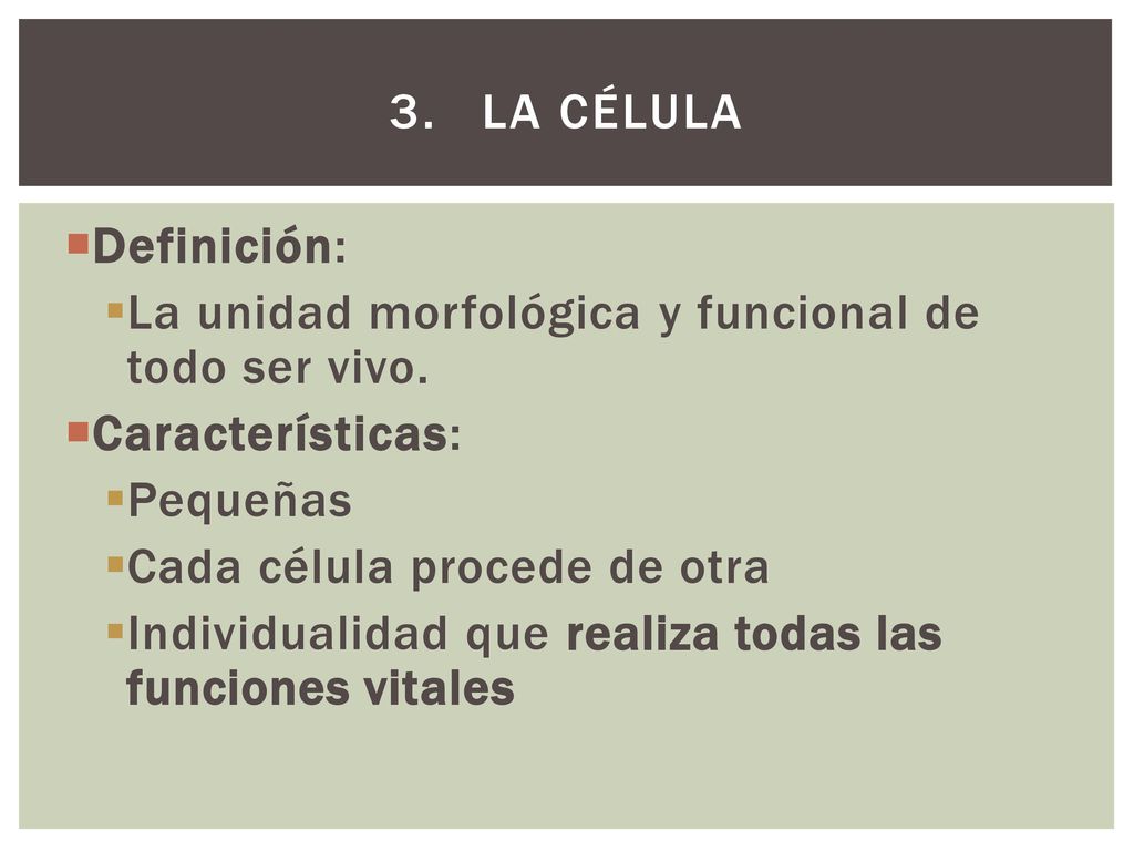 LA CÉLULA Definición: La unidad morfológica y funcional de todo ser vivo. Características: Pequeñas.