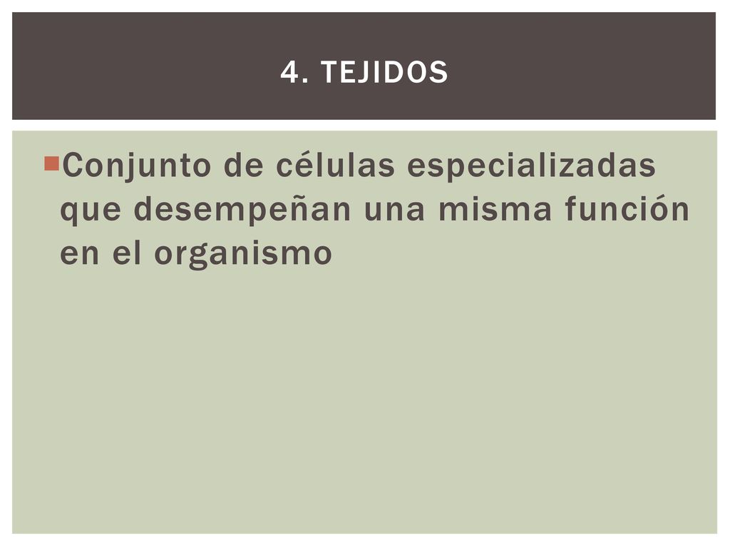 tejidos Conjunto de células especializadas que desempeñan una misma función en el organismo