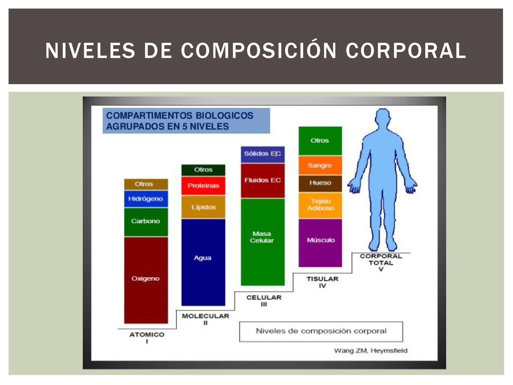 Análisis De Composición Corporal · Round Traning Center