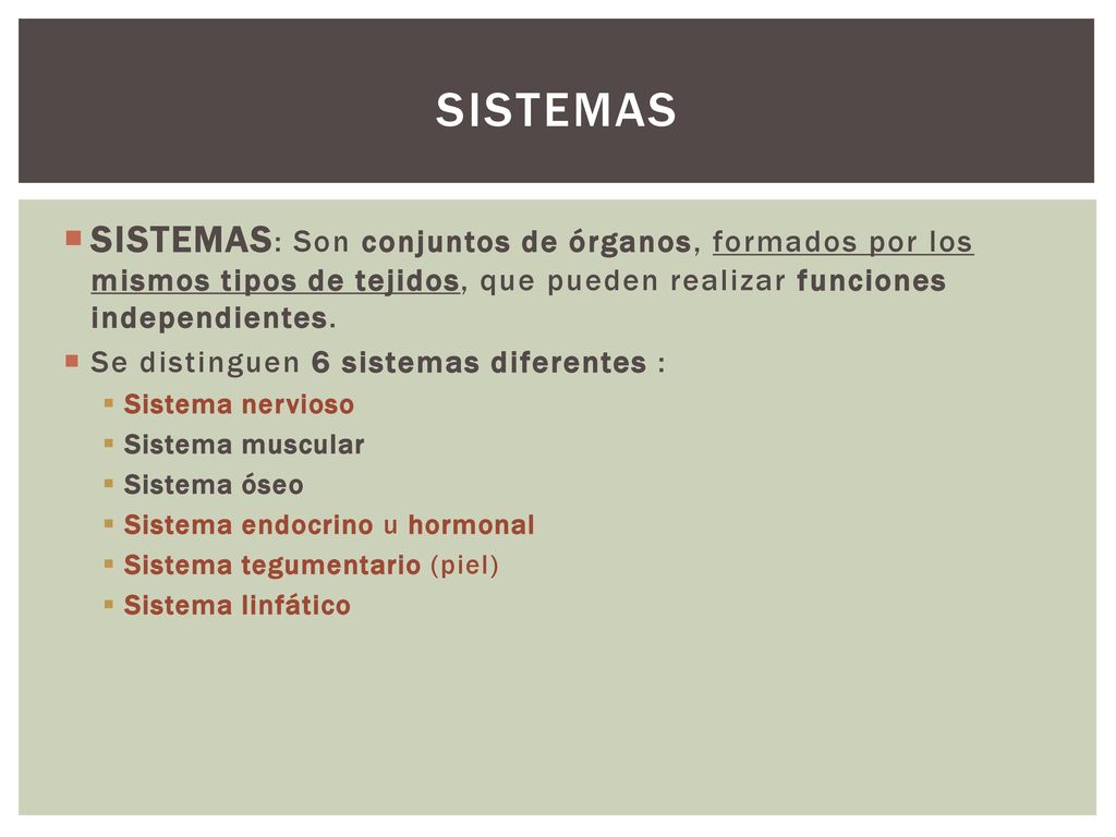 SISTEMAS SISTEMAS: Son conjuntos de órganos, formados por los mismos tipos de tejidos, que pueden realizar funciones independientes.