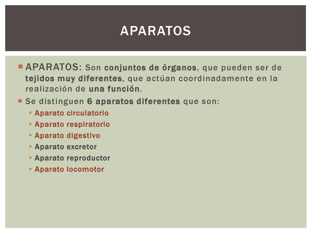 APARATOS APARATOS: Son conjuntos de órganos, que pueden ser de tejidos muy diferentes, que actúan coordinadamente en la realización de una función.